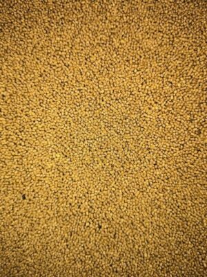 Turbó pellet 1 kg (1,5 mm-es)